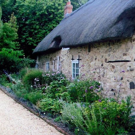 Afton Thatch: Beautiful Thatched Family Cottage Freshwater Exteriér fotografie